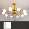 Living Room Ceiling Fan Lamp Creative Chandelier